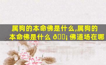 属狗的本命佛是什么,属狗的本命佛是什么 🐡 佛道场在哪